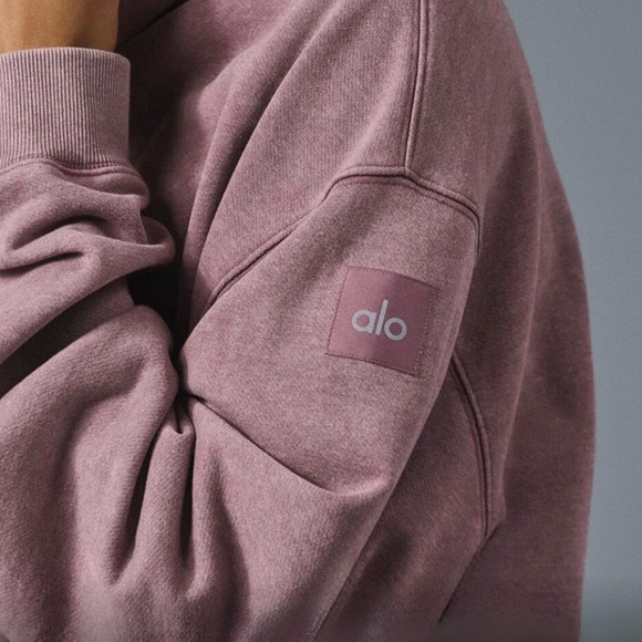 ALO YOGA Chill Vintage Wash Hoodie - Woodrose Wash - Picture 6 of 7